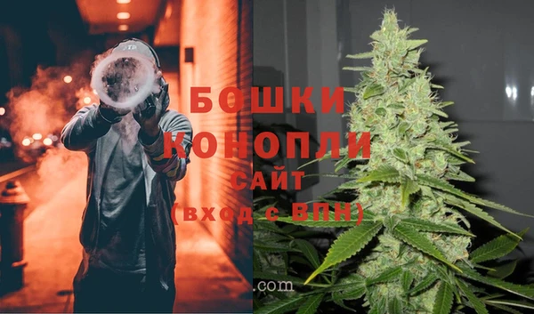 каннабис Коряжма