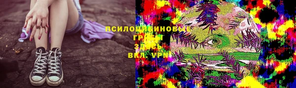 винт Краснослободск