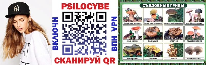 Купить закладки  Жиздра  Галлюциногенные грибы Magic Shrooms 